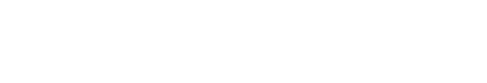 Customer Logo 101